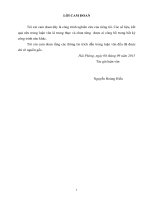 Nghiên cứu ứng dụng cảm biến MEMS trong mô hình hệ thống tự động cân bằng tàu