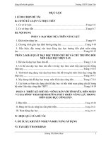 skkn thiết kế dạy học theo chủ đề công dân với tình yêu, hôn nhân và gia đình theo định hướng phát triển năng lực trong môn giáo dục công dân 