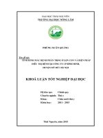 Tình hình mắc bệnh phân trắng ở lợn con và biện pháp phòng trị bệnh tại công ty CP Bình Minh, huyện Mỹ Đức  Hà Nội.