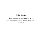 Tiểu luận Đánh giá thực trạng áp dụng bộ tiêu chuẩn trách nhiệm xã hội về lao động SA8000 tại công ty cổ phần 565