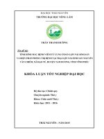 Tình hình mắc bệnh viêm tử cung ở đàn lợn nái sinh sản và biện pháp phòng trị bệnh tại trại lợn nái sinh sản Nguyễn Văn Chiêm, xã Đạo Tú  huyện Tam Dương  tỉnh Vĩnh Phúc.