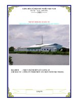 Dự án nhà máy sản xuất thức ăn Việt Thắng tỉnh Long An