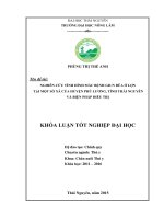 Nghiên cứu tình hình mắc bệnh giun đũa ở lợn tại một số xã của huyện phú lương – tỉnh thái nguyên và biện pháp phòng trị