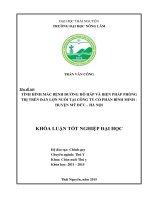 Tình hình mắc bệnh đường hô hấp và biện pháp phòng trị trên đàn lợn nuôi tại công ty CP bình minh   huyện mỹ đức   hà nội 
