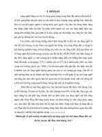 Đánh giá về môi trường và phát triển tại làng nghề tái chế nhựa Phan Bôi, xã Dị Sử, huyện Mỹ Hào, tỉnh Hưng Yên