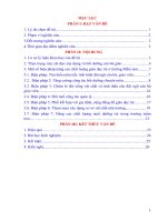 SKKN một số biện pháp chỉ đạo nâng cao chất lượng giáo dục ở trường MN 