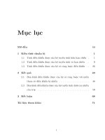 Luận văn tính chất định tính của các hệ động lực chịu nhiễu   luận văn, đồ án, đề tài tốt nghiệp 