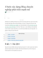 4 bước xây dựng Blog chuyên nghiệp phát triển mạnh mẽ