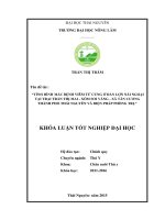 Tình hình mắc bệnh viêm tử cung ở đàn lợn nái ngoại tại trại trần thị mai   xóm soi vàng  xã tân cương  thành phố thái nguyên và biện pháp phòng trị 