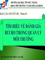 Báo cáo chuyên đề tìm hiểu về đánh giá rủi ro trong quản lý môi trường