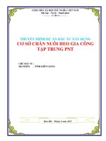 Dự án đầu tư xây dựng cơ sở chăn nuôi heo gia công tập trung PNT
