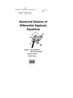Numerical Solution of Differential Algebraic Equations