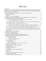 Đồ án Bán phá giá và chống bán phá giá trong hoạt động thương mại và những giải pháp để các doanh nghiệp Việt Nam vượt qua rào cản chống phá phá giá ở các nước nhập khẩu