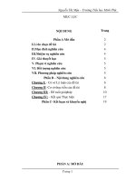 skkn một số giải pháp bồi dưỡng phát huy năng lực tự quản cho đội sao đỏ ở trường tiểu học minh phú sóc sơn – hà nội 