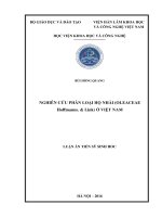 Nghiên cứu phân loại họ Nhài (Oleaceae Hoffmanns. & Link) Ở Việt Nam