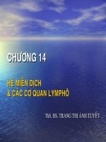 CHƯƠNG 14 HỆ MIỄN DỊCH & CÁC CƠ QUAN LYM PHÔI