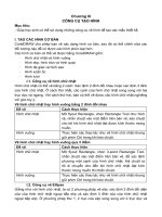 chuong3 công cụ tạo hình