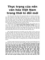 Thực trạng của nền văn hóa việt nam trong thời kì đổi mới