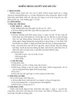 Nhiễm trùng huyết não mô cầu