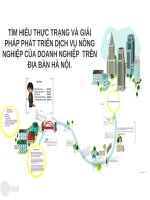 tìm hiểu thực trạng và giải pháp phát triển dịch vụ của doanh nghiệp trên địa bàn hà nội 