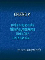 CHƯƠNG 21 TUYẾN THƯỢNG THẬN TIÊU ĐẢO LANGERHANS, TUYẾN GIÁP, TUYẾN CẬN GIÁP
