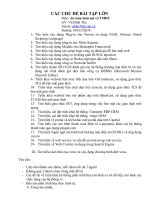 CÁC đề tài bài tập lớn