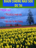 BIẾN CHỨNG NỘI SỌ DO TAI