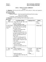 LESSON PLAN ENGLISH 5