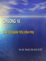 CHƯƠNG 16 CÁC CƠ QUAN TIÊU HÓA PHỤ, ThS. BS. TRANG THỊ ÁNH TUYẾT