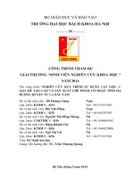 NGHIÊN CỨU QUÁ TRÌNH SỬ DỤNG VẬT LIỆU γ–  Al 2 O 3 ĐỂ TẠO CAO VÀ SẢN XUẤT CHẾ PHẨM CÓ HOẠT TÍNH HẠ  ĐƯỜNG HUYẾT TỪ LÁ DÂU TẰM