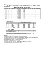 Bài 8:Tạo tập tin Chitietbanhang.xls trong thư mục Excel2003 với nội dung và định dạngnhư sau:Bảng Theo Dõi Chi Tiết Bán Hàng