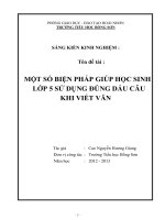 skkn một số biện pháp giúp học sinh lớp 5 sử dụng đúng dấu câu khi viết văn 