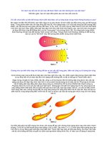 Tôi vẫn chưa hiểu sự liên kết trong nhóm biến thái khác với sự ràng buộc trong nhóm thông thường ra sao