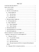 ĐỀ TÀI Nghiên cứu ảnh hưởng của yếu tố bố trí và trưng bày đến nhận thức của khách hàng cá nhân tại siêu thị big c huế