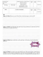 Đề thi học kì 1 môn sinh  6,7,8,9 quận 2 thành phố hồ chí minh năm học 2016   2017(có đáp án)