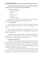 Câu hỏi tình huống thảo luận 