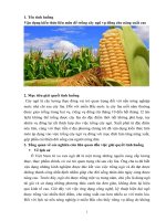 bai du thi lien mon của học sinh đạt giải nhất cấp tỉnh