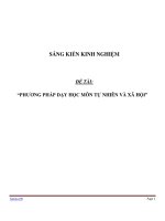 SÁNG KIẾN KINH NGHIỆM SKKN  PHƯƠNG PHÁP dạy học môn tự NHIÊN và xã hội 