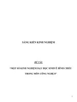 SÁNG KIẾN KINH NGHIỆM SKKN một số KINH NGHIỆM dạy học SINHVẼ HÌNH CHIẾU TRONG môn CÔNG NGHỆ 8 