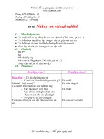 Giáo án mầm non đề tài những con vật ngộ nghĩnh 