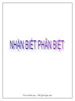 Giáo án mầm non chủ đề nhận biết phân biệt bản mới nhất 