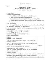 Giáo án thanh lịch văn minh lớp 1