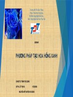 cách tạo hoa hồng xanh
