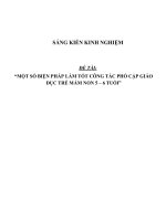 sáng kiến kinh nghiệm một số BIỆN PHÁP làm tốt CÔNG tác PHỔ cập GIÁO dục TRẺ mầm NON 5 – 6 TUỔI 
