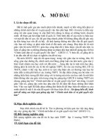 Sáng kiến kinh nghiệm hay môn GDCD lớp 11