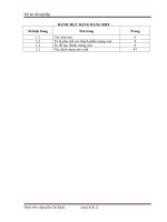 DANH MỤC BẢNG, HÌNH