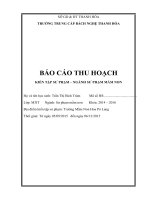 bai thu hoach ca nhan-tram