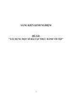 SÁNG KIẾN KINH NGHIỆM SKKN xây DỰNG một số bài tập THỰC HÀNH với tệp 