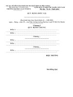 mau   quy che ban hanh kem quyet dinh 