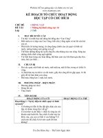 Giáo án mầm non đề tài  những bộ đuôi công rực rỡ 